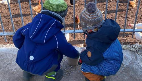 Ferienhof Roller - Foto 5