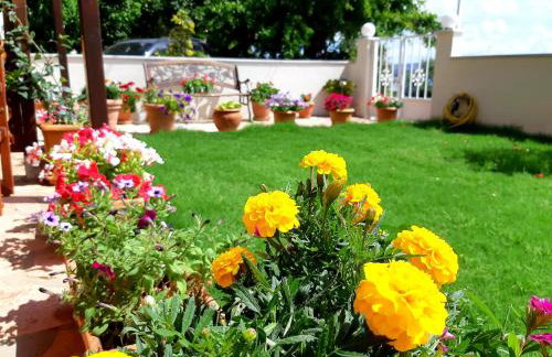 Irini Seaside Studios - Photo 28