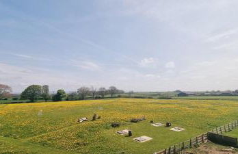 Osprey Meadow Holiday Cottages - Foto 34