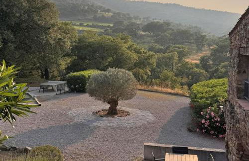 Les Roches du Sud - Foto 15