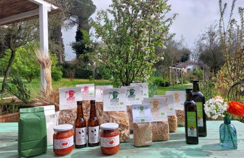 Orto delle Fate - Foto 58