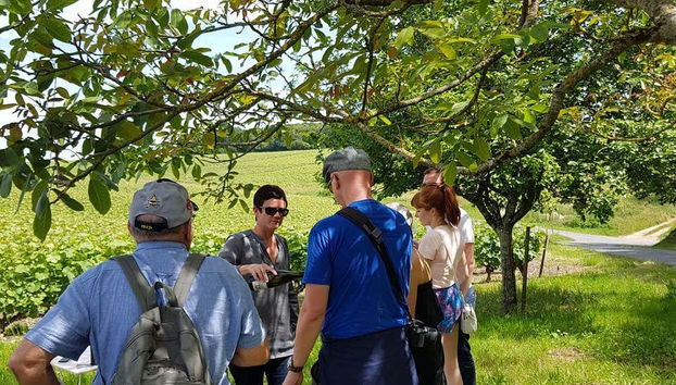 Loire Valley Wine Tour - Foto 2