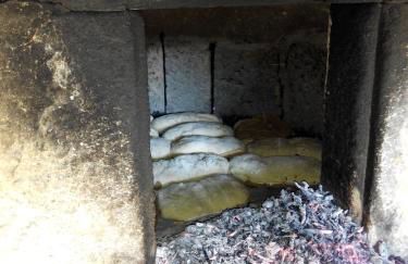 Quinta do Olival - Foto 7