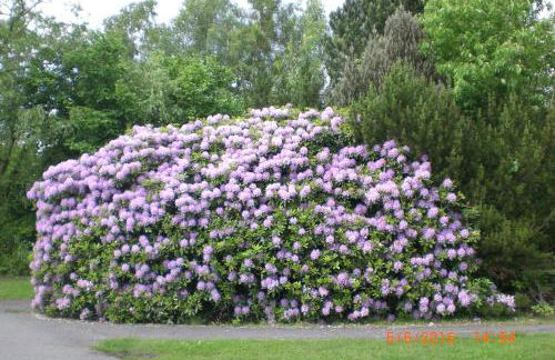 Ferienhaus am Geiersberg - Foto 37