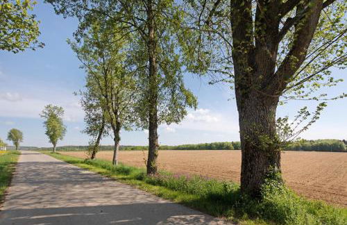 Ferienwohnungen große Albferien - Foto 10