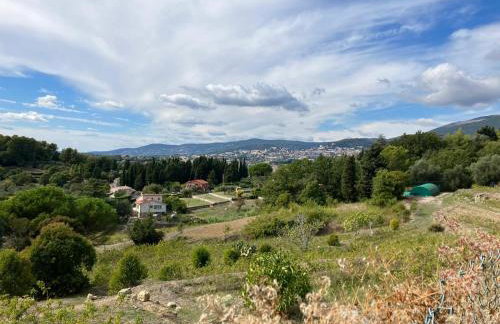 Mar y Tierra - Foto 14