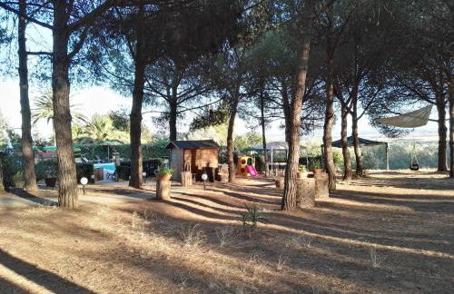 Dolce Vita - Foto 58