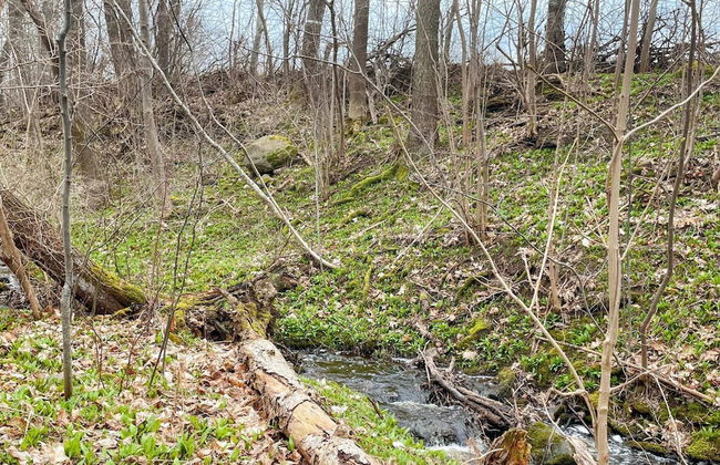 4 Person Holiday Home in Granna - Photo 4