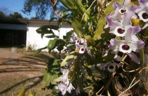 Suites do Reino Penedo RJ - Foto 23