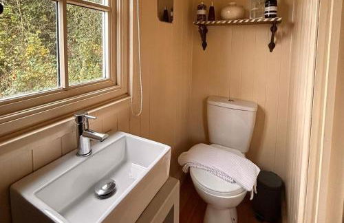 Cozy Cabin Retreat Near Chepstow - Foto 49