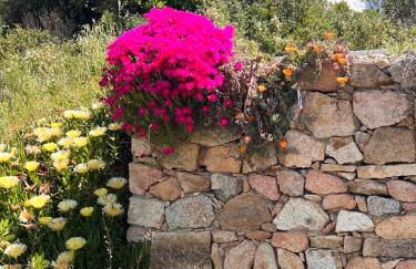 Il Nido dei Venti - Foto 32