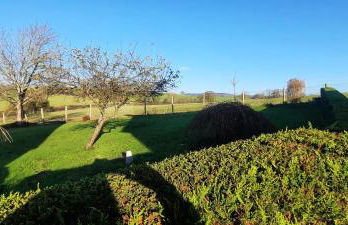 Conkers Cottage - Photo 21