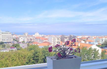 Panorama Penthouse - Foto 4
