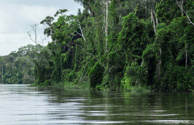 Tour di 3 giorni nella foresta amazzonica - Foto 1