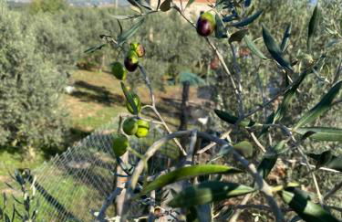 Arcadia Agriturismo - Foto 63