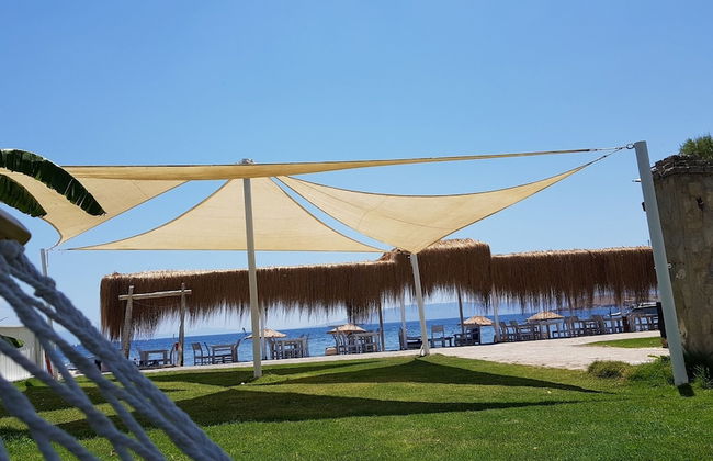 Tasev Apart Hotel - Photo 29