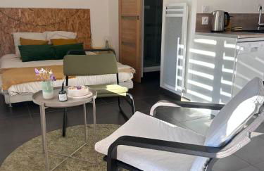 Chez Ambre et Lulu - Appartement centre ville avec piscine - Foto 4