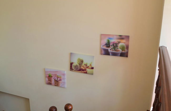 Bella Vista - Junto Praia - Foto 6