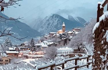 La maison des amis - Foto 41