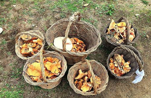 Casa Pozo Tarama - Foto 27