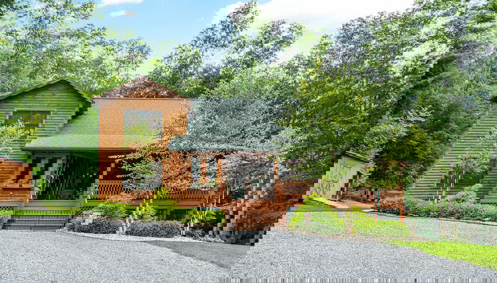 Twin Foxes - Foto 1, Imagen principal