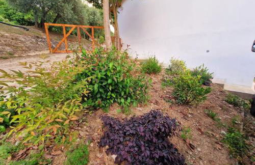 Appartamento Ombra - Foto 18