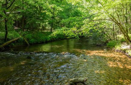 A Creek Runs Thru It - Secluded Waterfront Cabin - Foto 49
