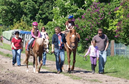 Bauernhof Koehlbrandt - Foto 51