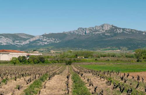 Casa de campo entre viñedos - Photo 19