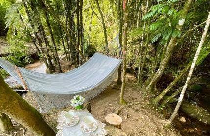 Chacara Sossego da Natureza - Foto 54