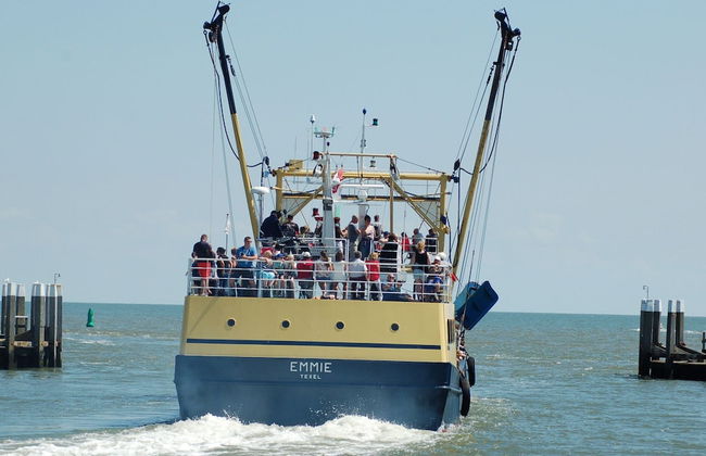 Traditional Villa With two Bathrooms on Texel Near the Sea - Foto 27