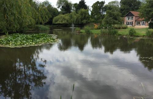 Everglades - Foto 58