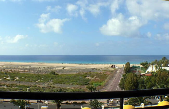 Palm Garden Apartments - Photo 35