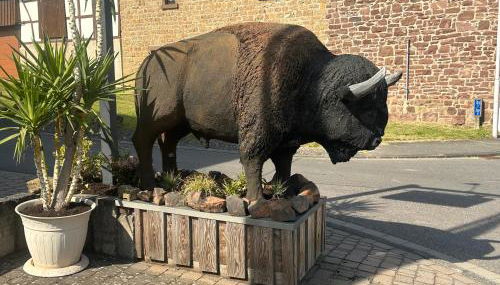 Ferienwohnungen Büffel - Foto 3