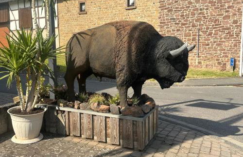 Ferienwohnungen Büffel - Foto 3