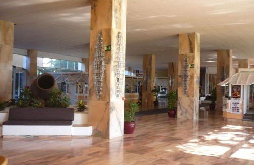 marazul del sur - Foto 9