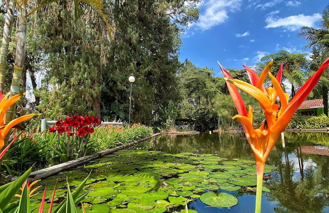 Avalon Hotel Campestre en Jardin - Photo 65
