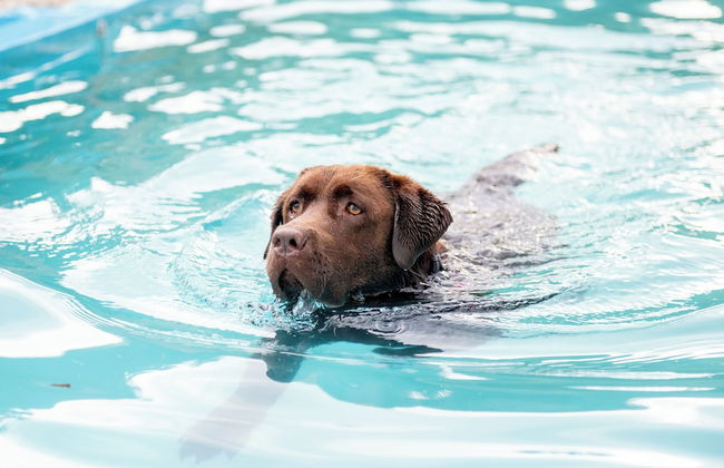 Abbázia Country Club - Foto 42