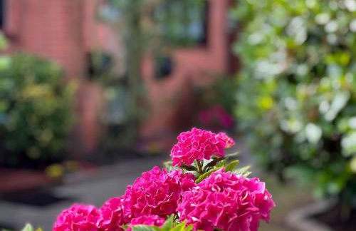 Ferienwohnung Herzmuschel Tinnum - Foto 37