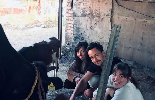 ingawale farmhouse - Photo 21