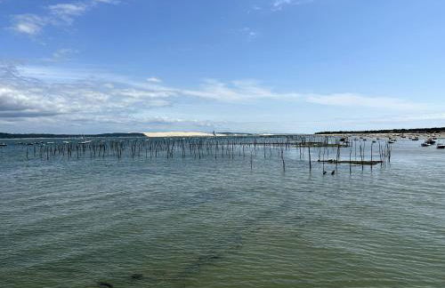 Entre Terre et Mer - Foto 39