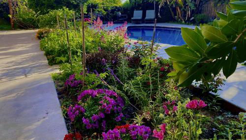 Walk to Torrey Pines Beach! Beachwalk Bungalow - Foto 3