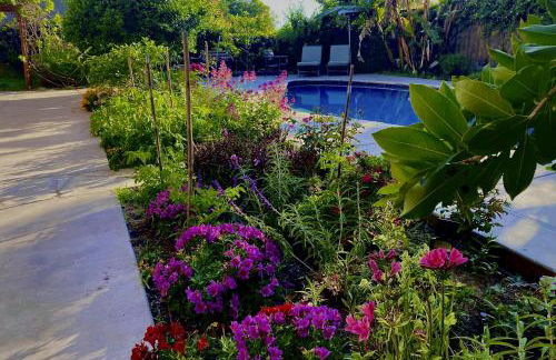 Walk to Torrey Pines Beach! Beachwalk Bungalow - Foto 3