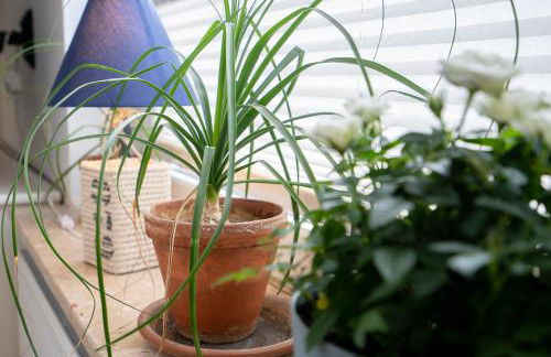 Haus Strandwinkel Ferienwohnung "Strandwinkel 1" - Foto 20