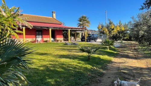 La Buganvilla, descanso entre olivares - Foto 2, Garden view