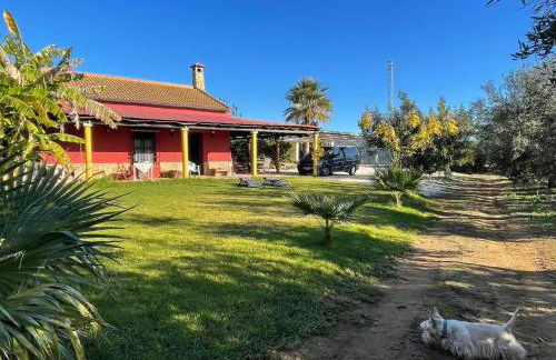 La Buganvilla, descanso entre olivares - Foto 2