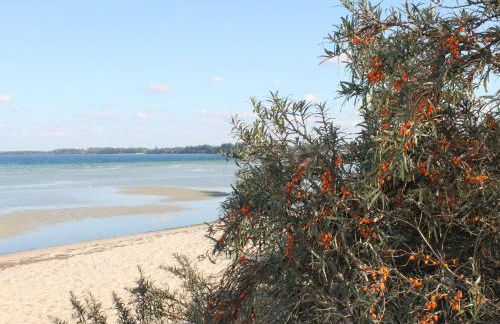 Attractive Apartment in Klütz near the Sea - Foto 77