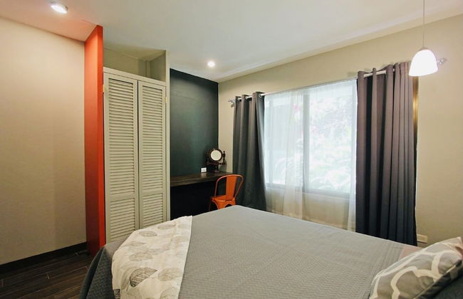 Relaxing Sound of River Birds Squirrels - Foto 7