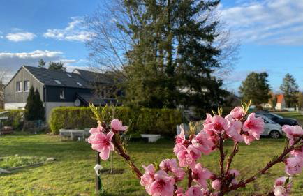 Ferienhaus Lotte Havelland - Photo 33