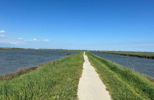 Casa Pomposa - Photo 18